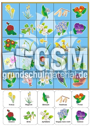 BG_Blumen_Plan_blau.pdf